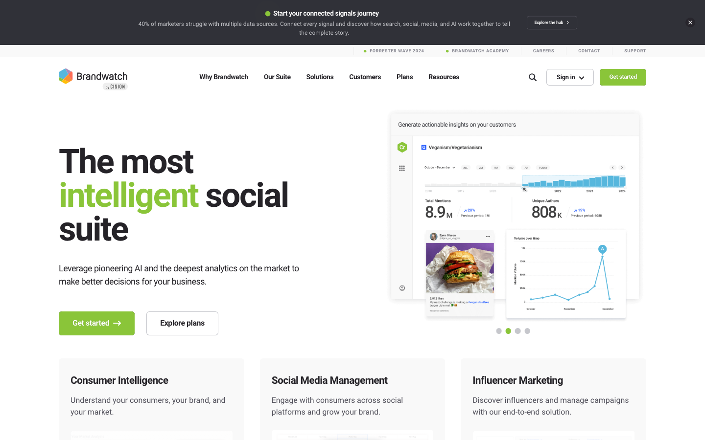 Brandwatch screenshot
