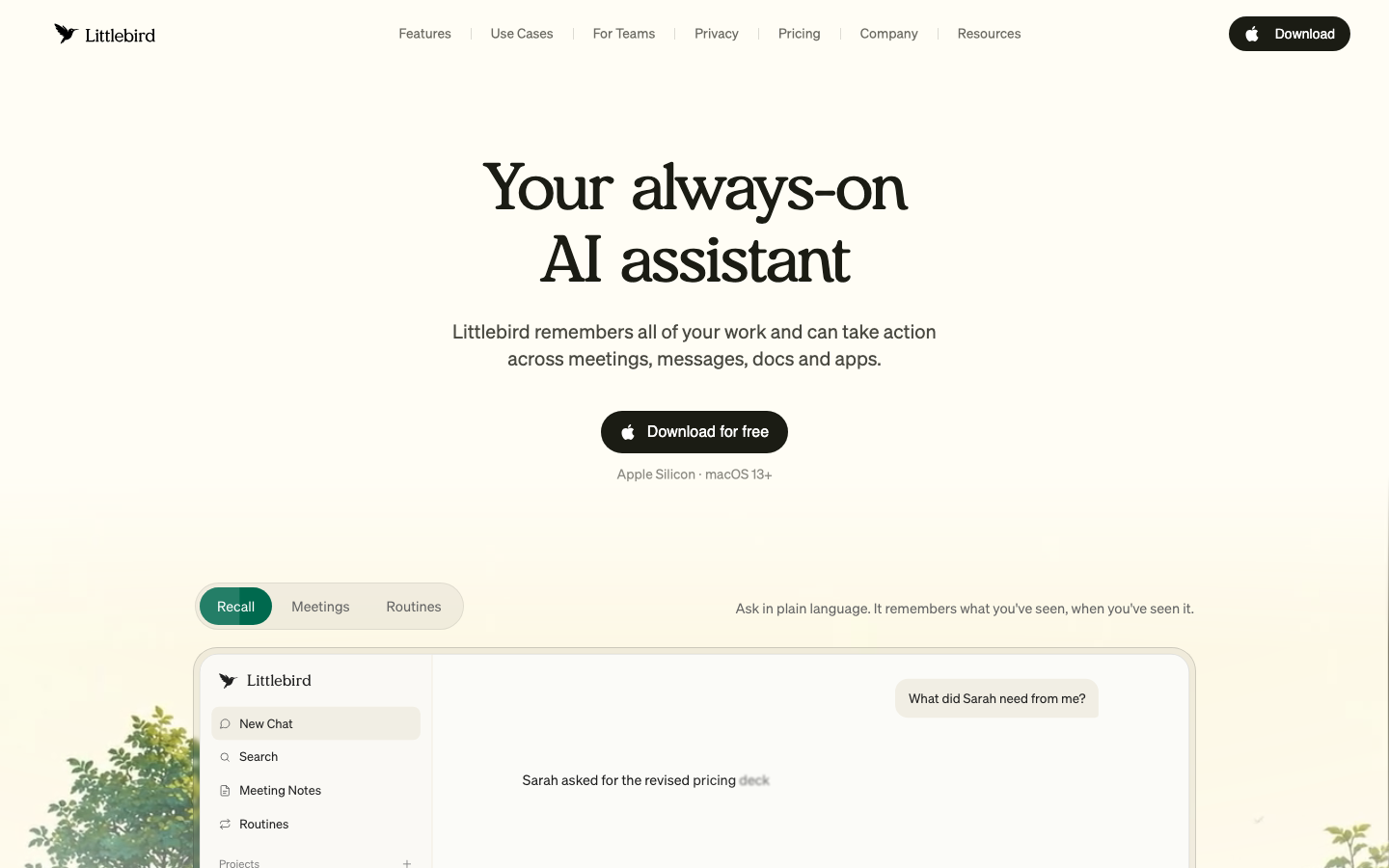 Littlebird screenshot