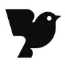 Robin AI logo