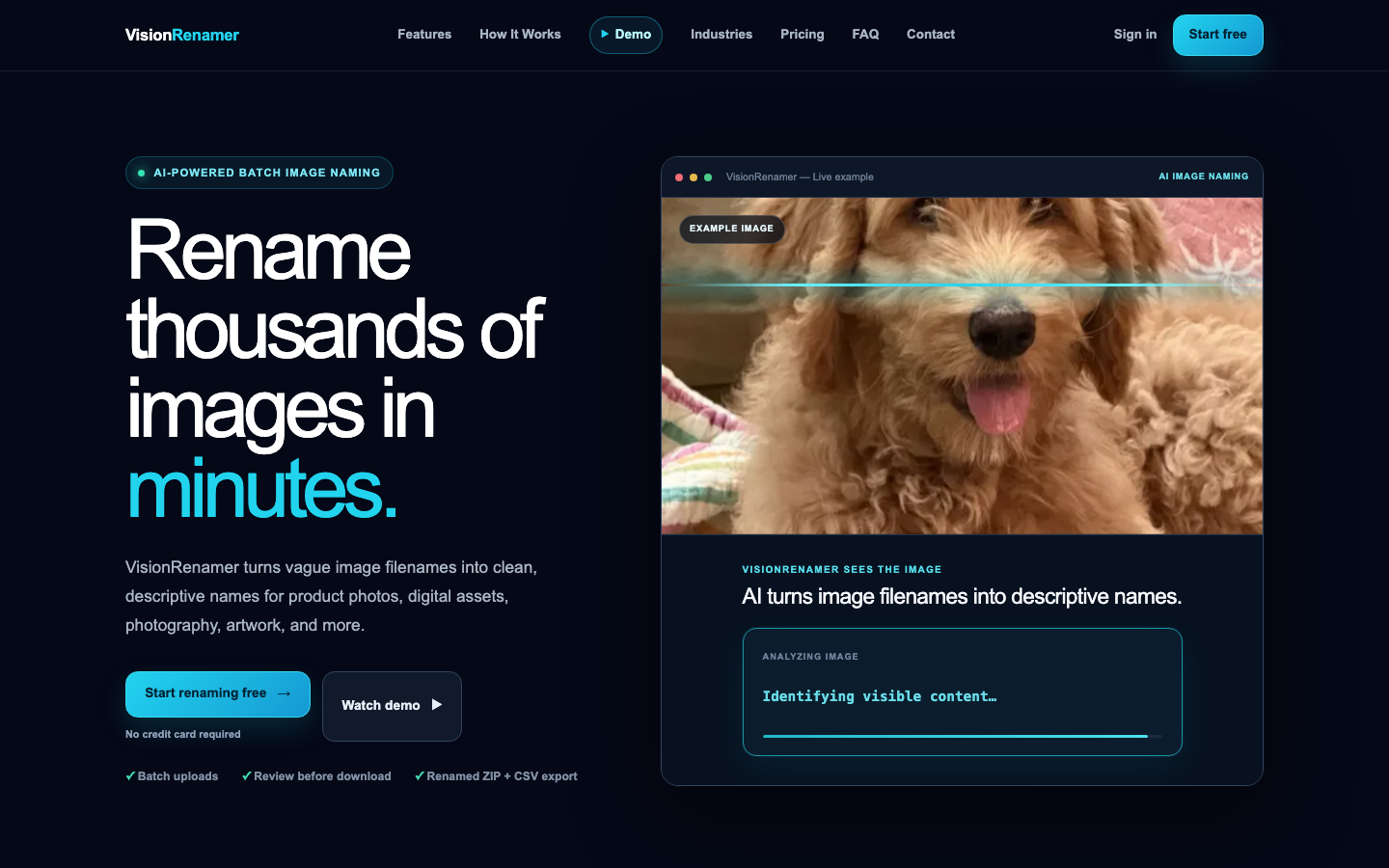 Visionrenamer screenshot