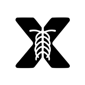 X Ray Interpreter logo