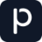 Panjaya logo
